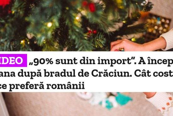 Nu mai suntem în stare nici să defrișăm! 90% din brazii din comerț sunt din import