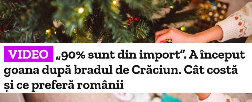 Nu mai suntem în stare nici să defrișăm! 90% din brazii din comerț sunt din import