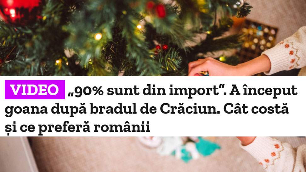 Nu mai suntem în stare nici să defrișăm! 90% din brazii din comerț sunt din import