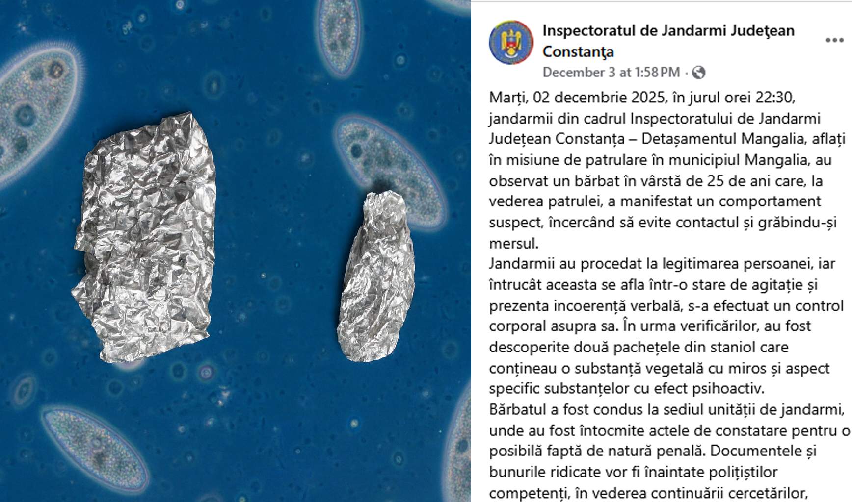 Jandarmeria Constanța şi-a luat microscop şi se laudă cu o captură de 0,0001 g de iarbă