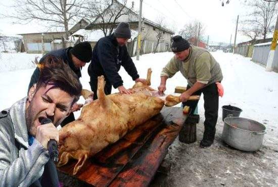 Cruzime fără margini! Un român sadic a asomat porcul folosind muzica lui Smiley