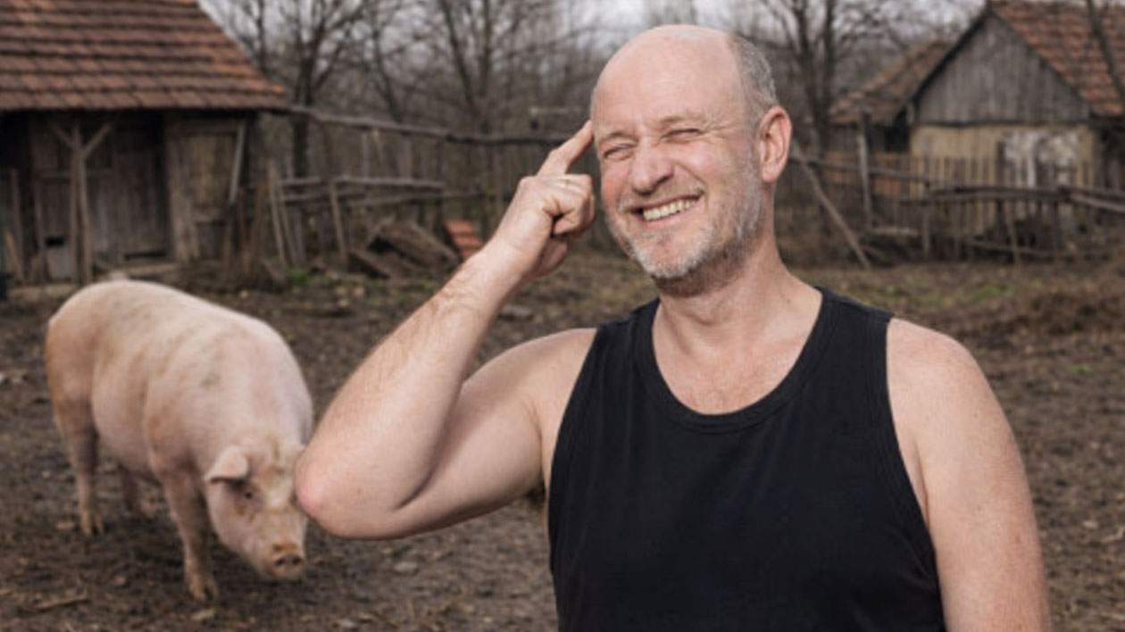 Fiindcă tăierea porcului i se pare un obicei barbar, un român îl mănâncă întreg