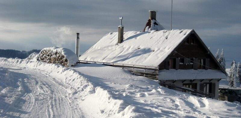 Efectul Groenlanda! Mii de români care nu şi-au deszăpezit curtea s-au trezit anexaţi de Trump