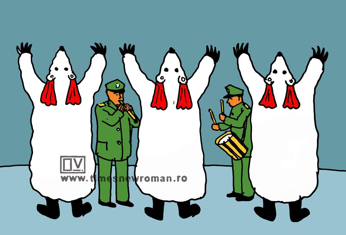 Trupe românești pregătite pentru Groenlanda