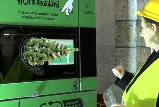 Românii au băgat brazii în aparatele de reciclat, sperând să ia 50 de bani pe ei