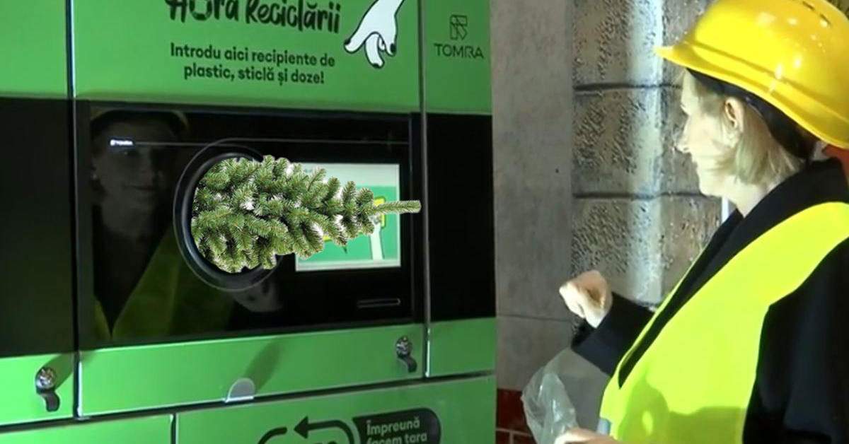 Românii au băgat brazii în aparatele de reciclat, sperând să ia 50 de bani pe ei