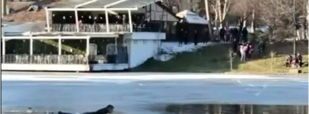 Un român s-a aruncat în ghețuri ca să salveze șaorma după ce livratorul s-a aruncat după un copil