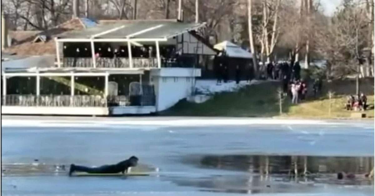 Un român s-a aruncat în ghețuri ca să salveze șaorma după ce livratorul s-a aruncat după un copil