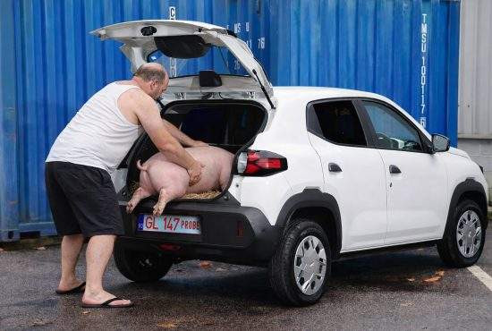 Dacia Spring, lăudată pentru viteza de încărcare: Îţi ia 2 minute să încarci porcul în portbagaj