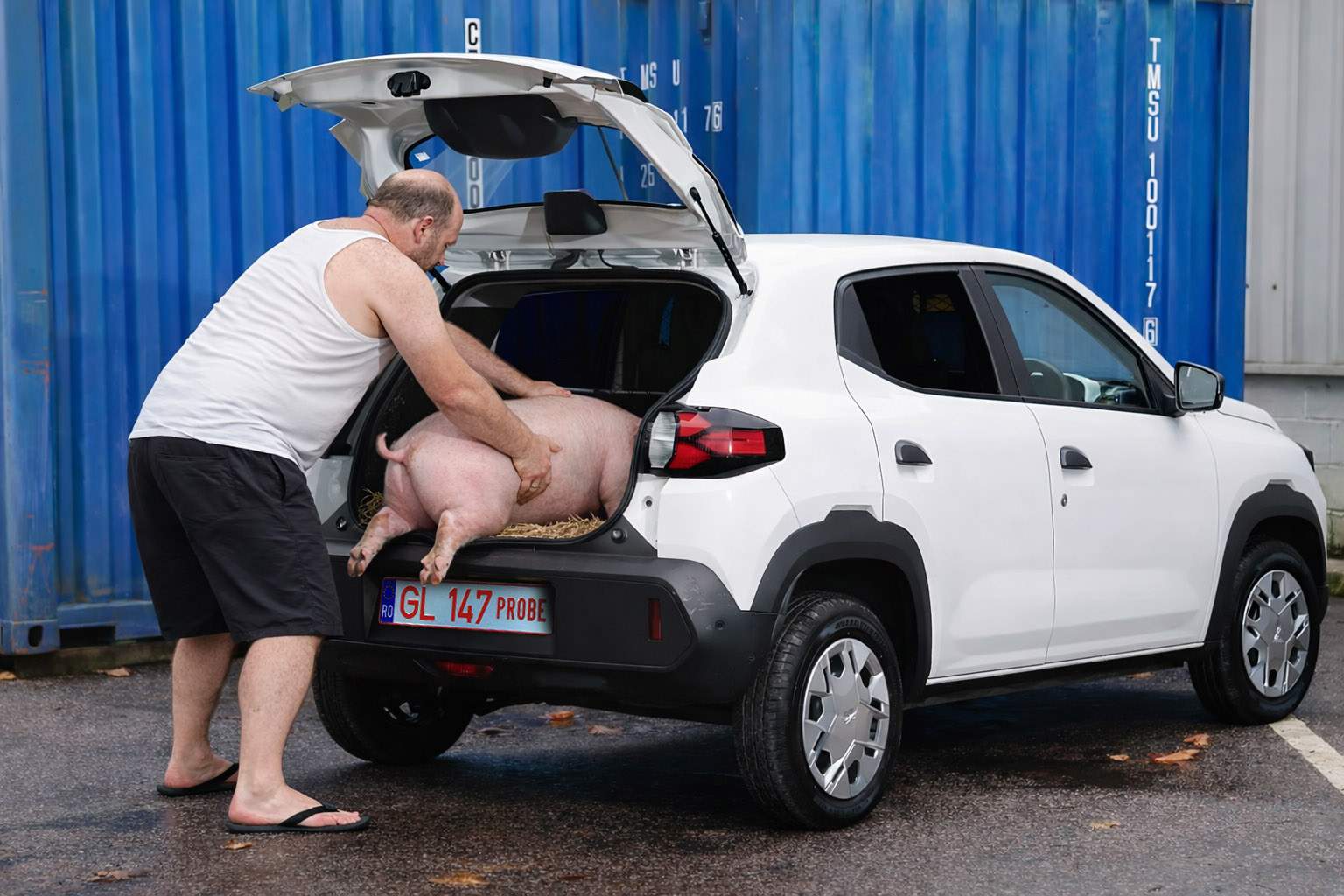 Dacia Spring, lăudată pentru viteza de încărcare: Îţi ia 2 minute să încarci porcul în portbagaj