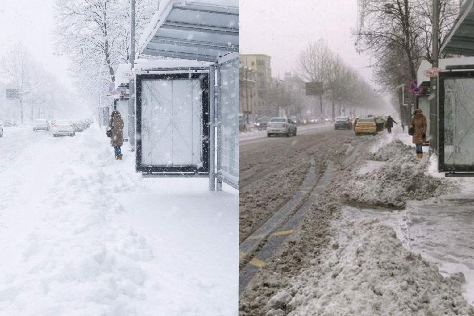 Superba zăpadă căzută ieri a dispărut cu desăvârșire. Și pe asta ne-au furat-o francezii!