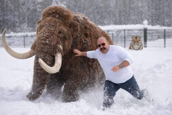 Nuţu Cămătaru anunţă că îşi ia mamut, pentru că tigru au deja toţi cocalarii