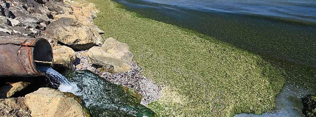 Scandalos! La Năvodari a fost găsită o conductă care deversa kombucha direct în mare