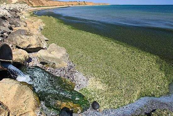 Scandalos! La Năvodari a fost găsită o conductă care deversa kombucha direct în mare