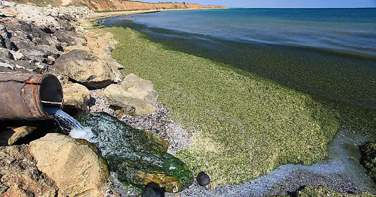 Scandalos! La Năvodari a fost găsită o conductă care deversa kombucha direct în mare