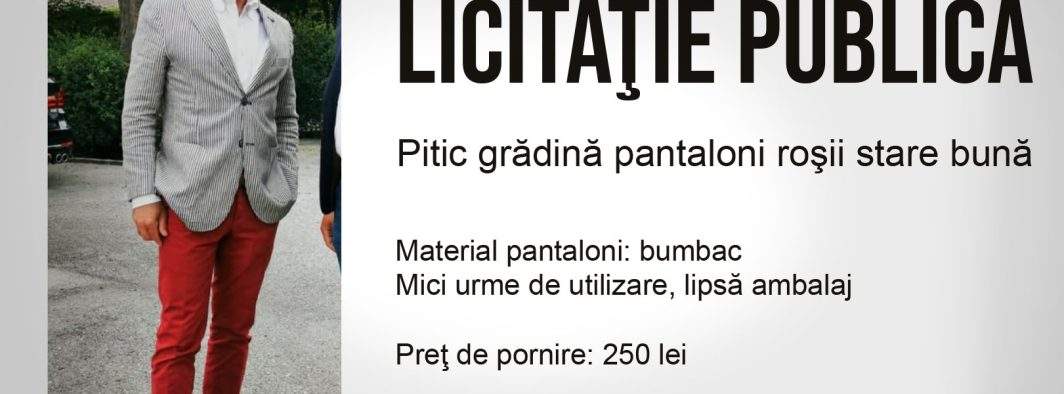 Începe recuperarea datoriilor. ANAF scoate la licitaţie un pitic de grădină confiscat de la Realitatea Plus