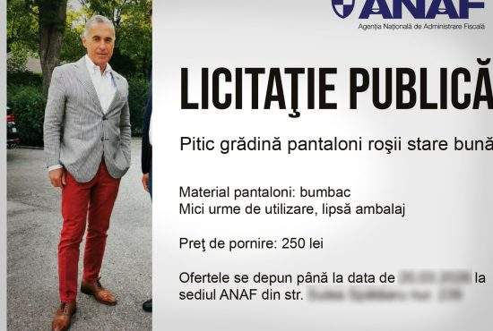 Începe recuperarea datoriilor. ANAF scoate la licitaţie un pitic de grădină confiscat de la Realitatea Plus