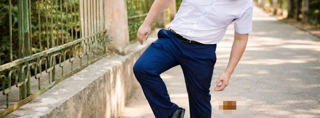 Un român care a călcat în c*cat şi-a cerut scuze: „Vai, dle Ponta, nu v-am văzut”