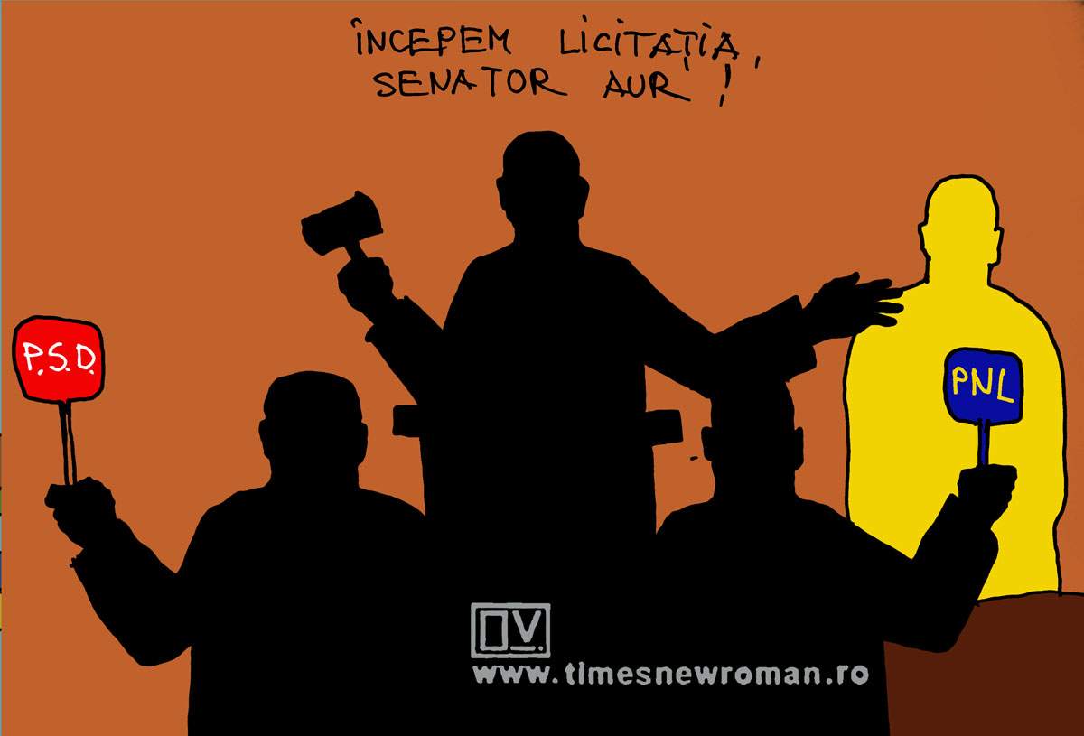 Licitație în parlament