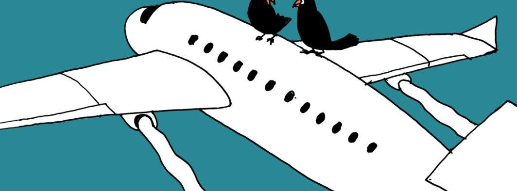 Nervi la înălțimi