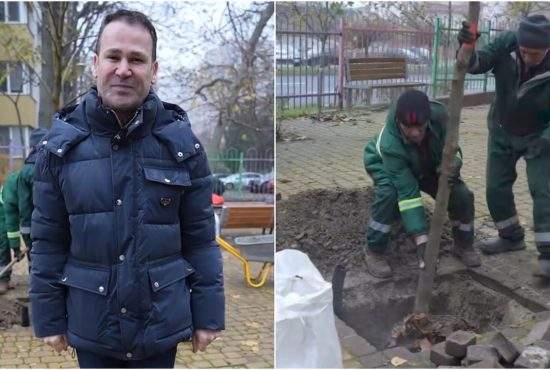 Negoiță a plantat un copac în Sectorul 3: Să aibă ce să taie și copiii mei!