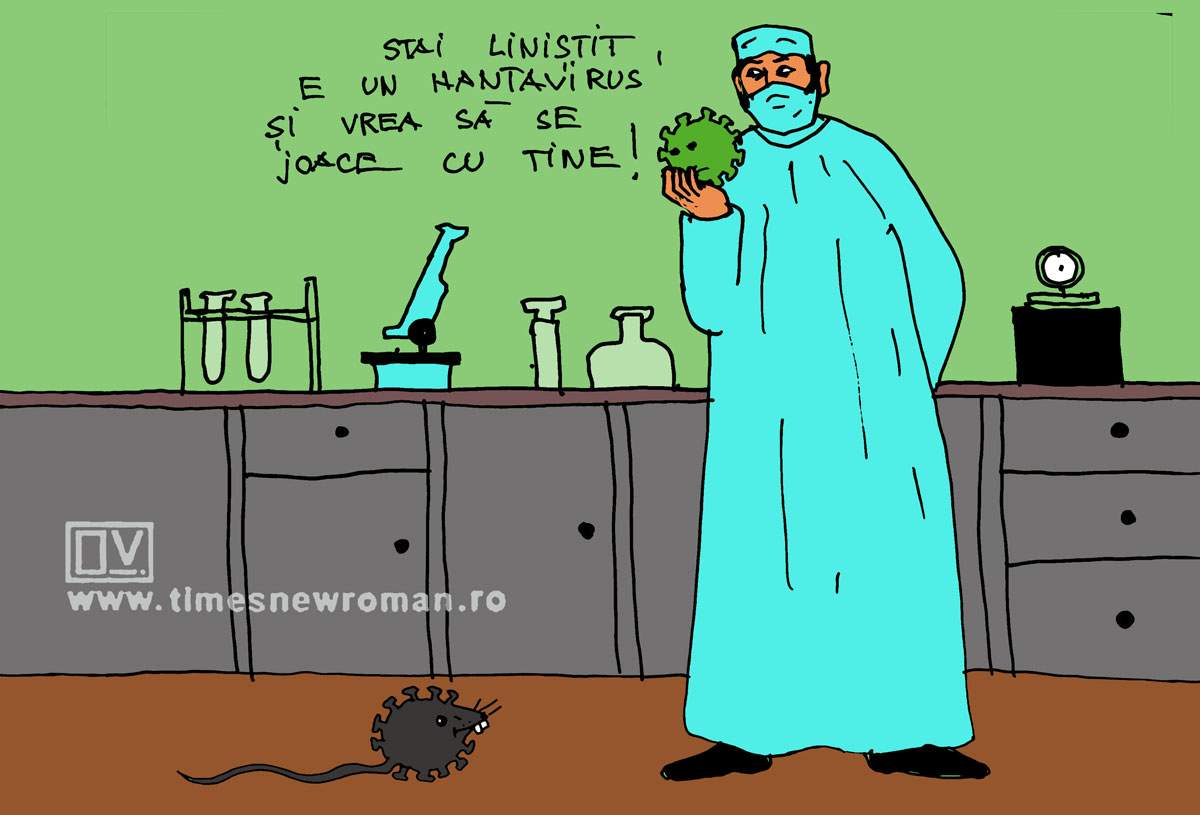 Partener de joacă
