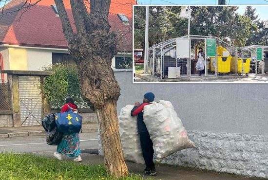 Popor harnic! Românii se trezesc tot mai devreme, să prindă peturile din coșurile de gunoi