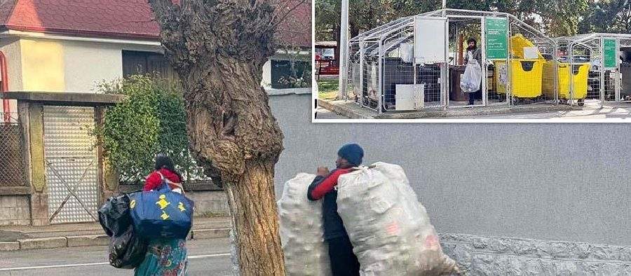 Popor harnic! Românii se trezesc tot mai devreme, să prindă peturile din coșurile de gunoi