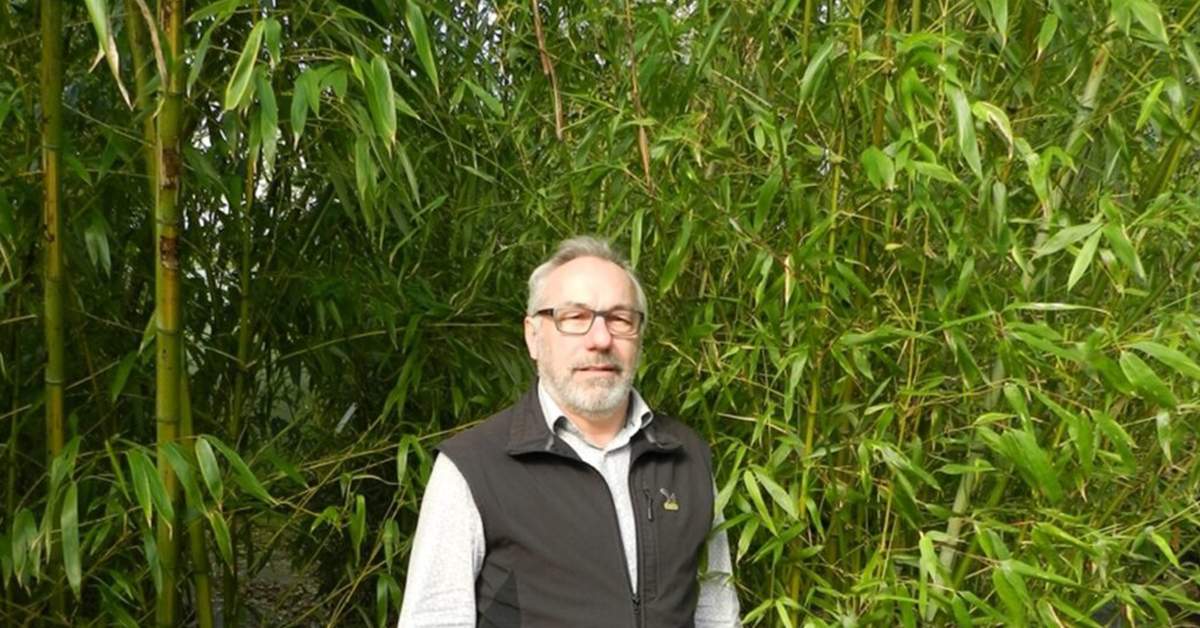 Agricultorii români se plâng că ploile abundente au compromis recoltele de bambus și smochine