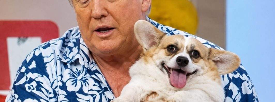 Supărat că parcul din Berceni nu-i va mai purta numele, Trump nu-şi mai botează câinele Băluţă