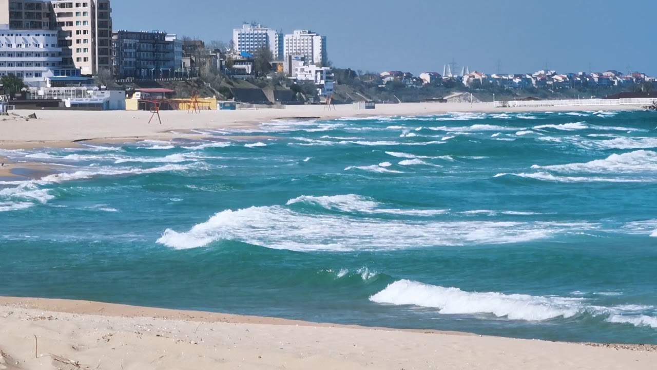 Alarmă falsă! „Fragmentele de dronă” găsite pe plajă la Eforie erau doar coji de la o sămânţă mai mare