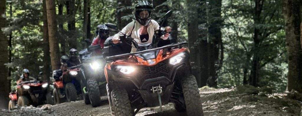Studiu: 8 din 10 urşi coboară în oraşe ca să scape de cocalarii cu ATV-uri din pădure
