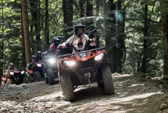 Studiu: 8 din 10 urşi coboară în oraşe ca să scape de cocalarii cu ATV-uri din pădure