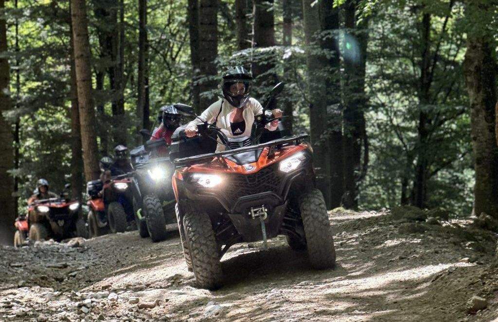 Studiu: 8 din 10 urşi coboară în oraşe ca să scape de cocalarii cu ATV-uri din pădure
