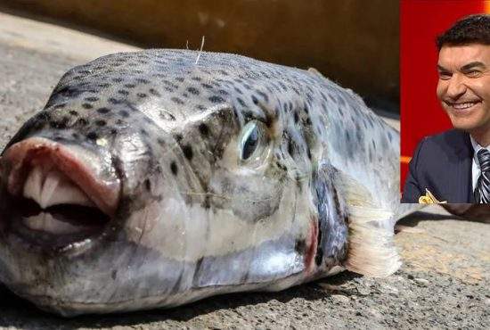 Peştele-iepure s-a înmulțit atât de mult încât acum este numit şi „Borcea de mare”
