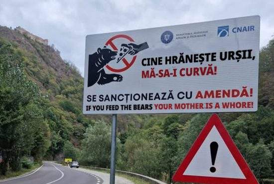 În sfârșit panouri adecvate pe Transfăgărășan: „Cine hrănește urșii, mă-sa-i curvă!”