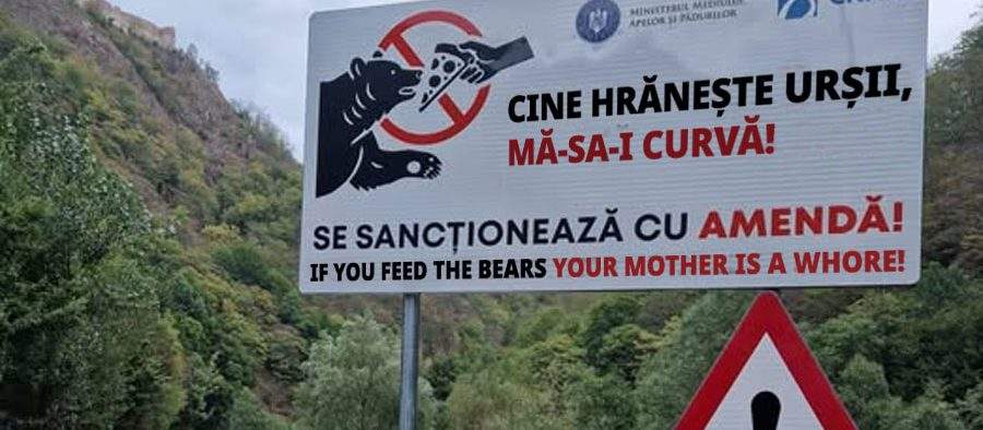 În sfârșit panouri adecvate pe Transfăgărășan: „Cine hrănește urșii, mă-sa-i curvă!”