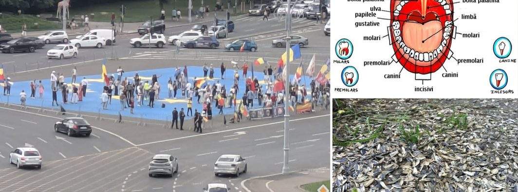 Cine a zis că n-au dinţi? Suveraniştii din Piaţa Victoriei au lăsat în urmă 2 tone de coji de seminţe