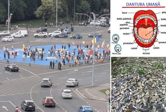 Cine a zis că n-au dinţi? Suveraniştii din Piaţa Victoriei au lăsat în urmă 2 tone de coji de seminţe