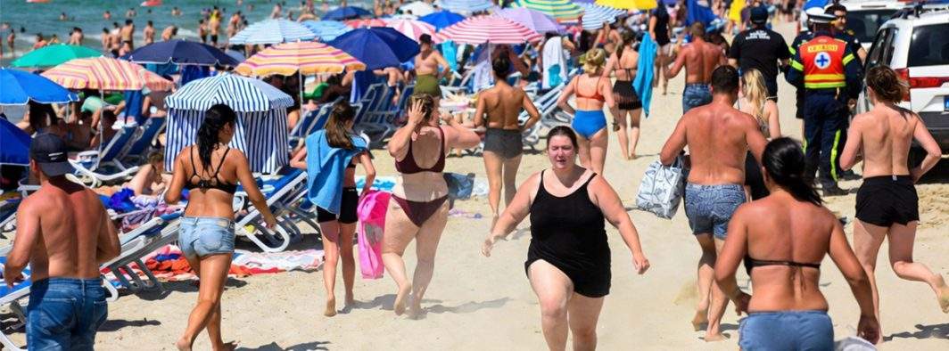 Alertă de urs în Mamaia: era de fapt o moldoveancă neepilată