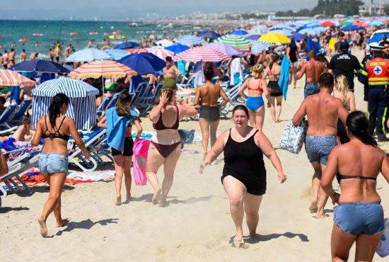 Alertă de urs în Mamaia: era de fapt o moldoveancă neepilată
