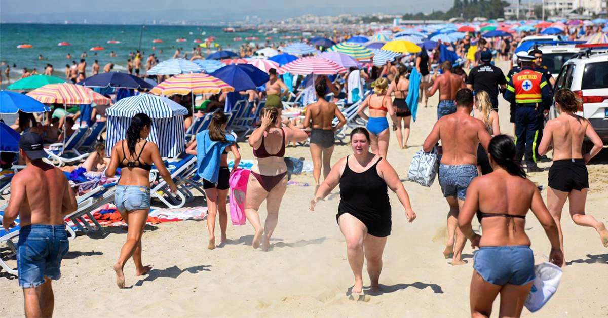 Alertă de urs în Mamaia: era de fapt o moldoveancă neepilată