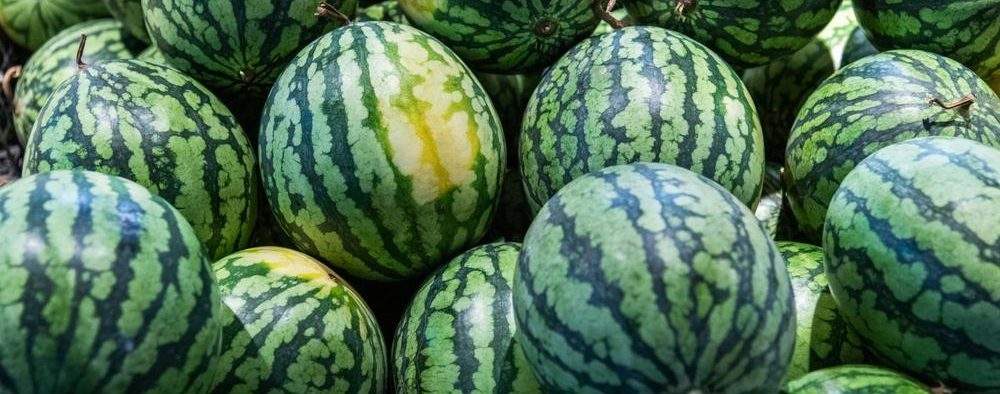 Din cauza taxei Temu, pepenii de Dăbuleni din China au ajuns mai scumpi decât pepenii de Dăbuleni din Dăbuleni