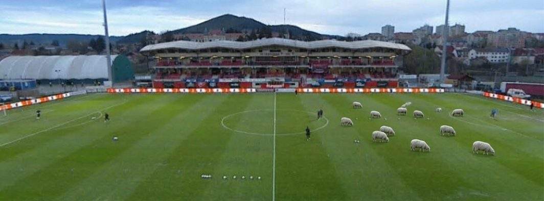 Spectacolul revine la TV. Microbiștii vor vedea cum FCSB face 0-0 cu Cshikalakacshikicha M. Ciuc pe o tarla