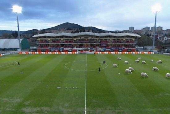 Spectacolul revine la TV. Microbiștii vor vedea cum FCSB face 0-0 cu Cshikalakacshikicha M. Ciuc pe o tarla