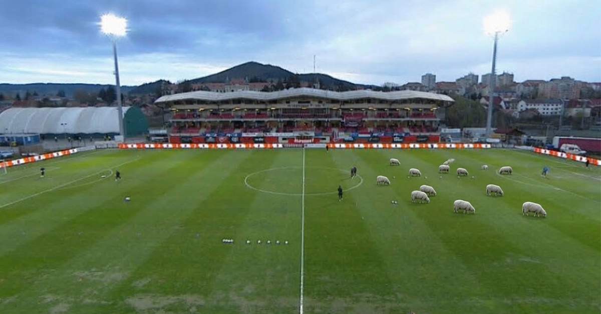 Spectacolul revine la TV. Microbiștii vor vedea cum FCSB face 0-0 cu Cshikalakacshikicha M. Ciuc pe o tarla