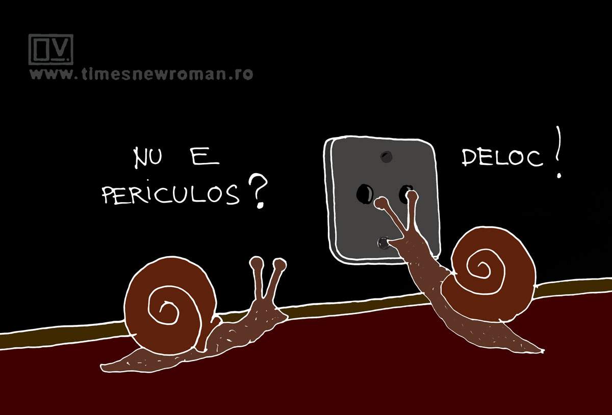 Electricianul
