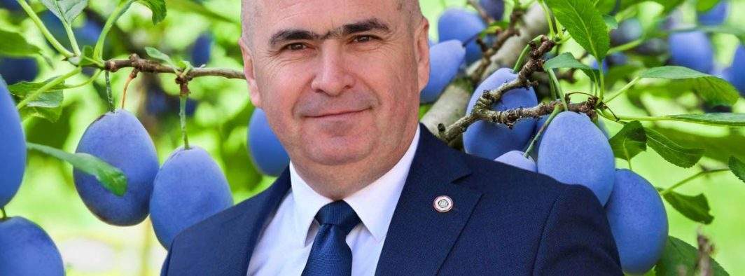 Hulit de români, dar iubit de divinitate! Dumnezeu a copt toate prunele lui Bolojan din Bihor