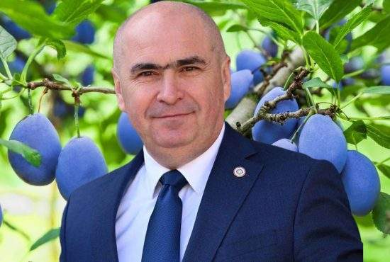 Hulit de români, dar iubit de divinitate! Dumnezeu a copt toate prunele lui Bolojan din Bihor