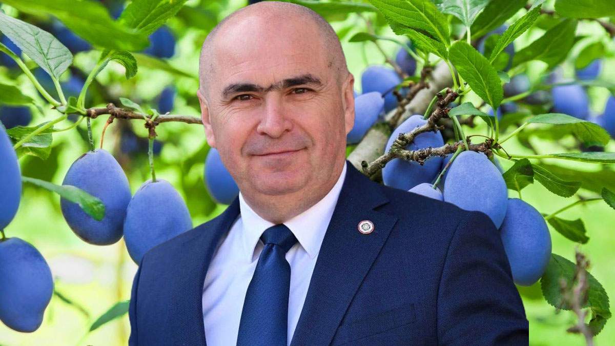 Hulit de români, dar iubit de divinitate! Dumnezeu a copt toate prunele lui Bolojan din Bihor